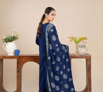 RANIYA.H 'Noor Bano Vol V' | Dhanak Readymade Pakistani Traditional Womenswear | RHX-01