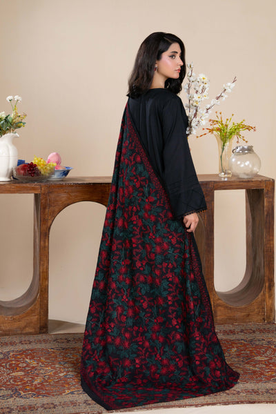 RANIYA.H 'Noor Bano Vol V' | Dhanak Readymade Pakistani Traditional Womenswear | RHX-02