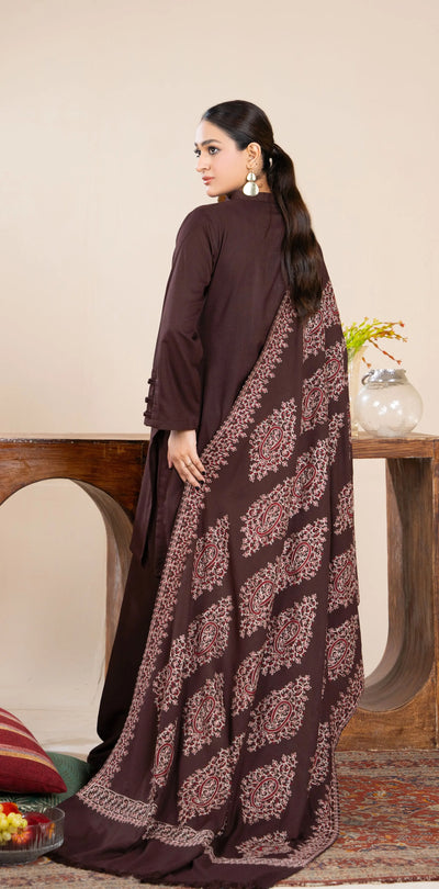 RANIYA.H 'Noor Bano Vol V' | Dhanak Readymade Pakistani Traditional Womenswear | RHX-03
